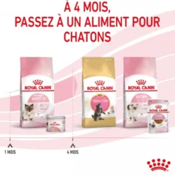 Royal Canin Mother & Babycat