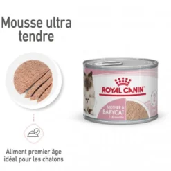 Royal Canin Mother & Babycat