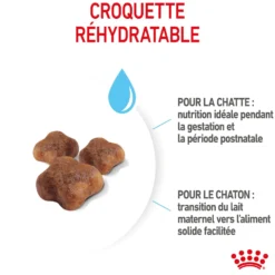 ROYAL CANIN Mother & BabyCat - Croquettes pour chatte et chaton