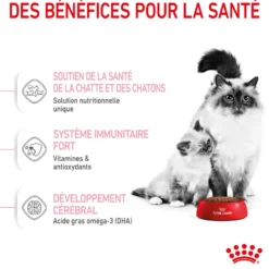 ROYAL CANIN Mother & BabyCat - Croquettes pour chatte et chaton