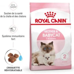 ROYAL CANIN Mother & BabyCat - Croquettes pour chatte et chaton