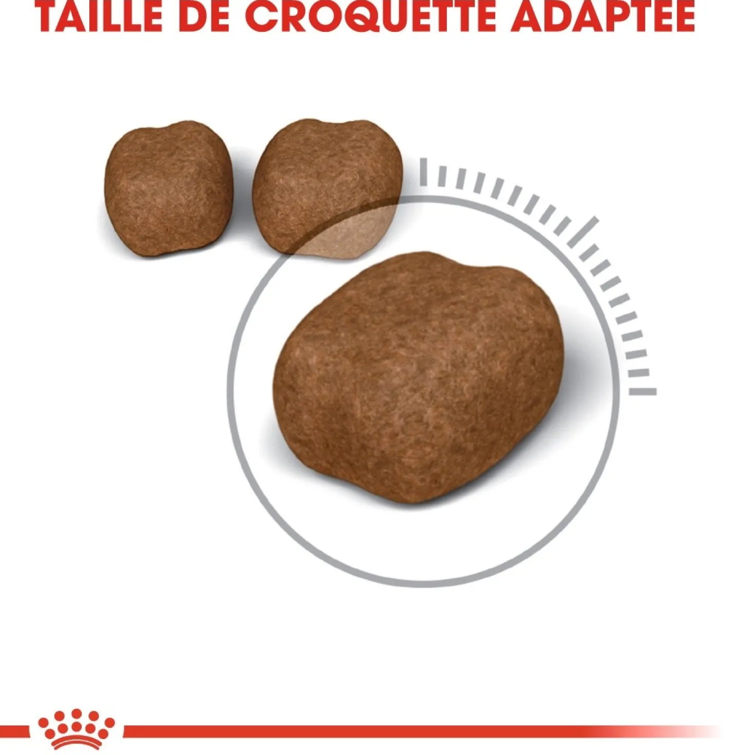 Royal Canin Oral Care - croquettes chat
