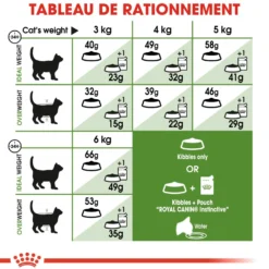 Royal Canin Outdoor - croquettes chat