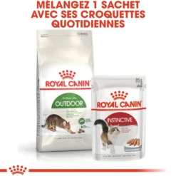 Royal Canin Outdoor - croquettes chat