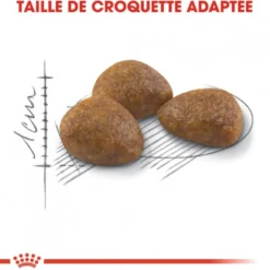 Royal Canin Outdoor 7+ - croquettes chat