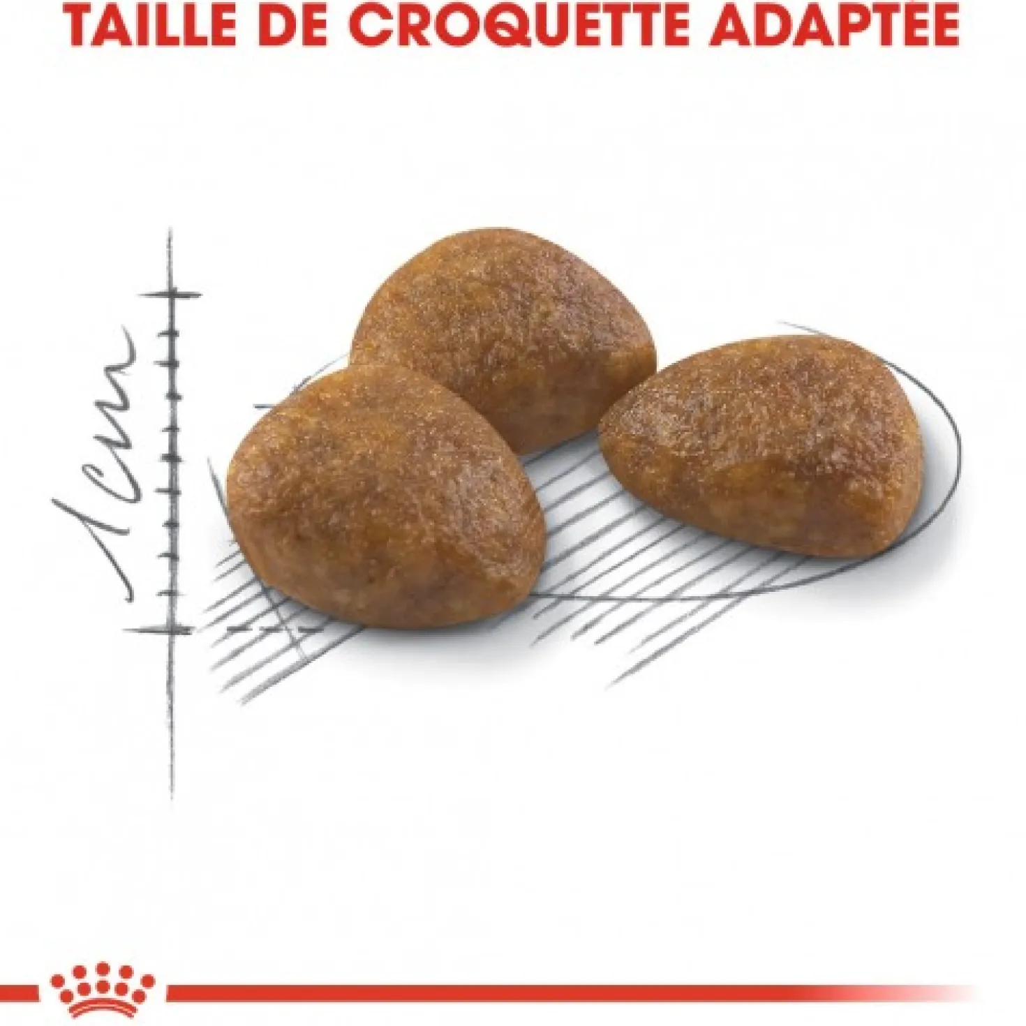 Royal Canin Outdoor 7+ - croquettes chat