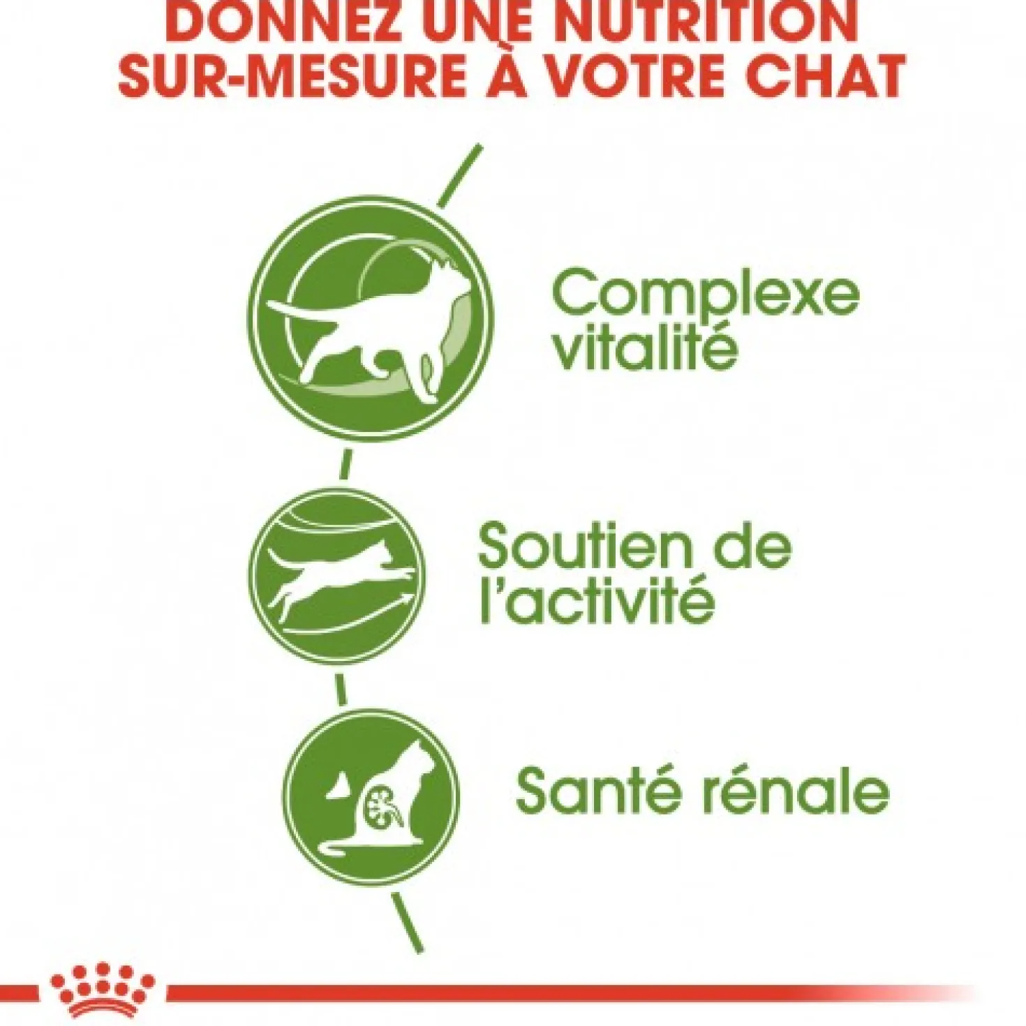Royal Canin Outdoor 7+ - croquettes chat