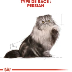 Royal Canin Persian