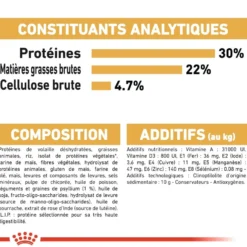 Royal Canin Persian Adult - croquettes chat