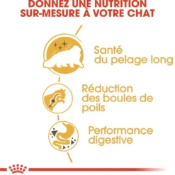 Royal Canin Persian Adult - croquettes chat