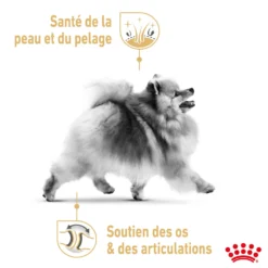 Royal Canin Pomeranian (Spitz Nain) Adult - croquettes chien