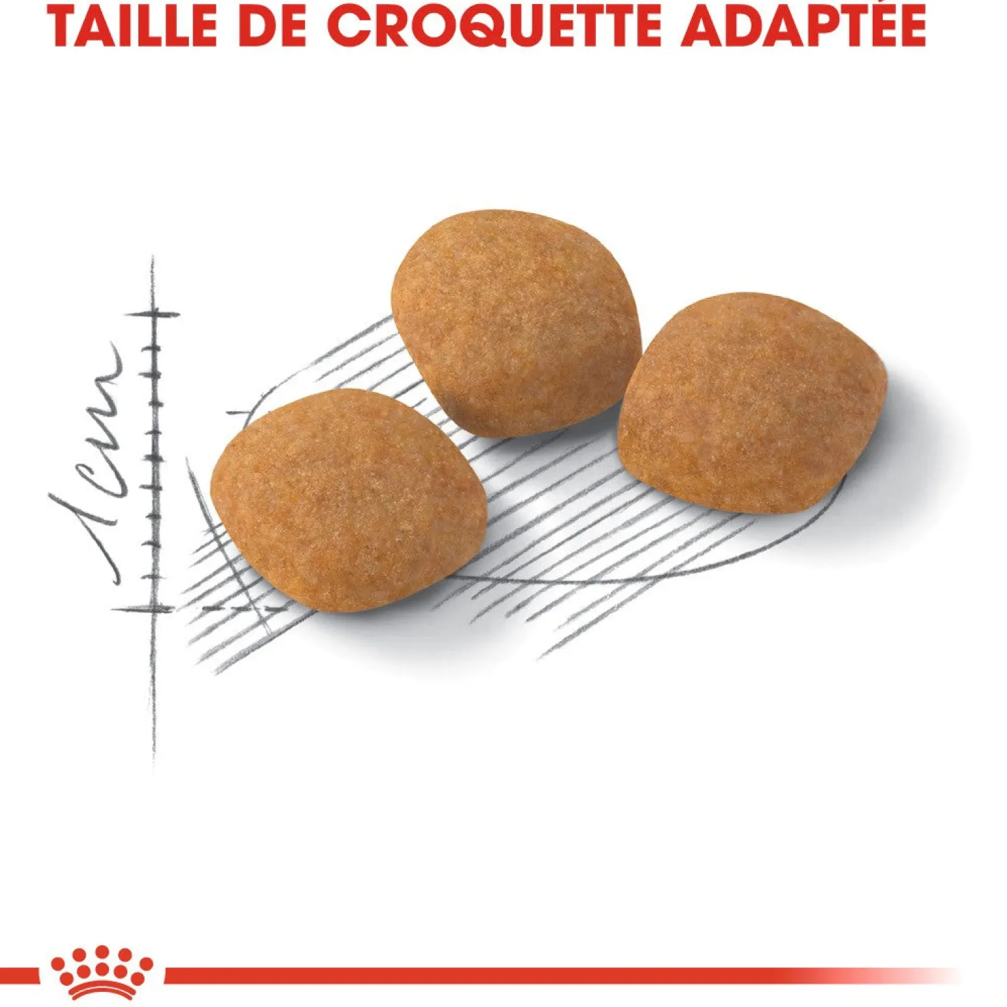 Royal Canin Protein Exigent