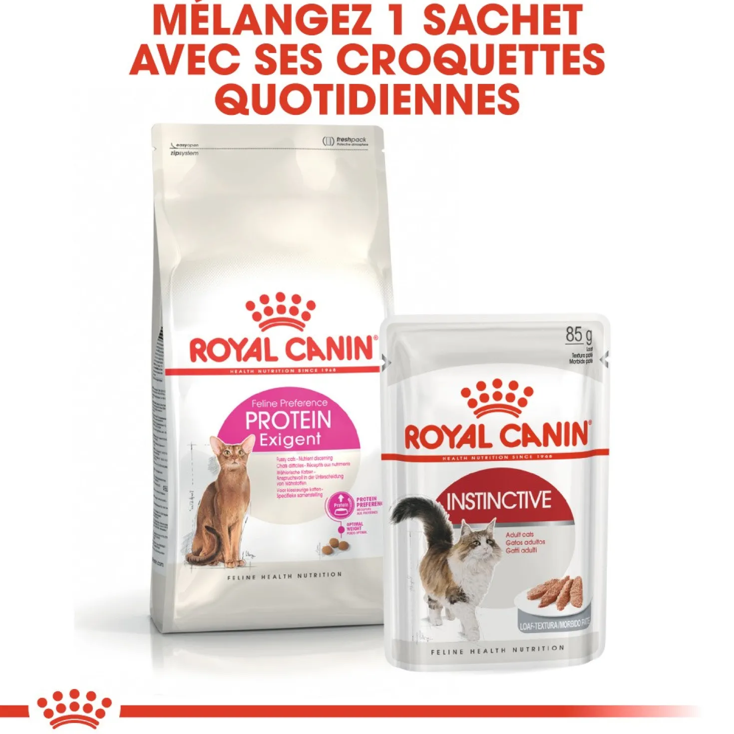 Royal Canin Protein Exigent