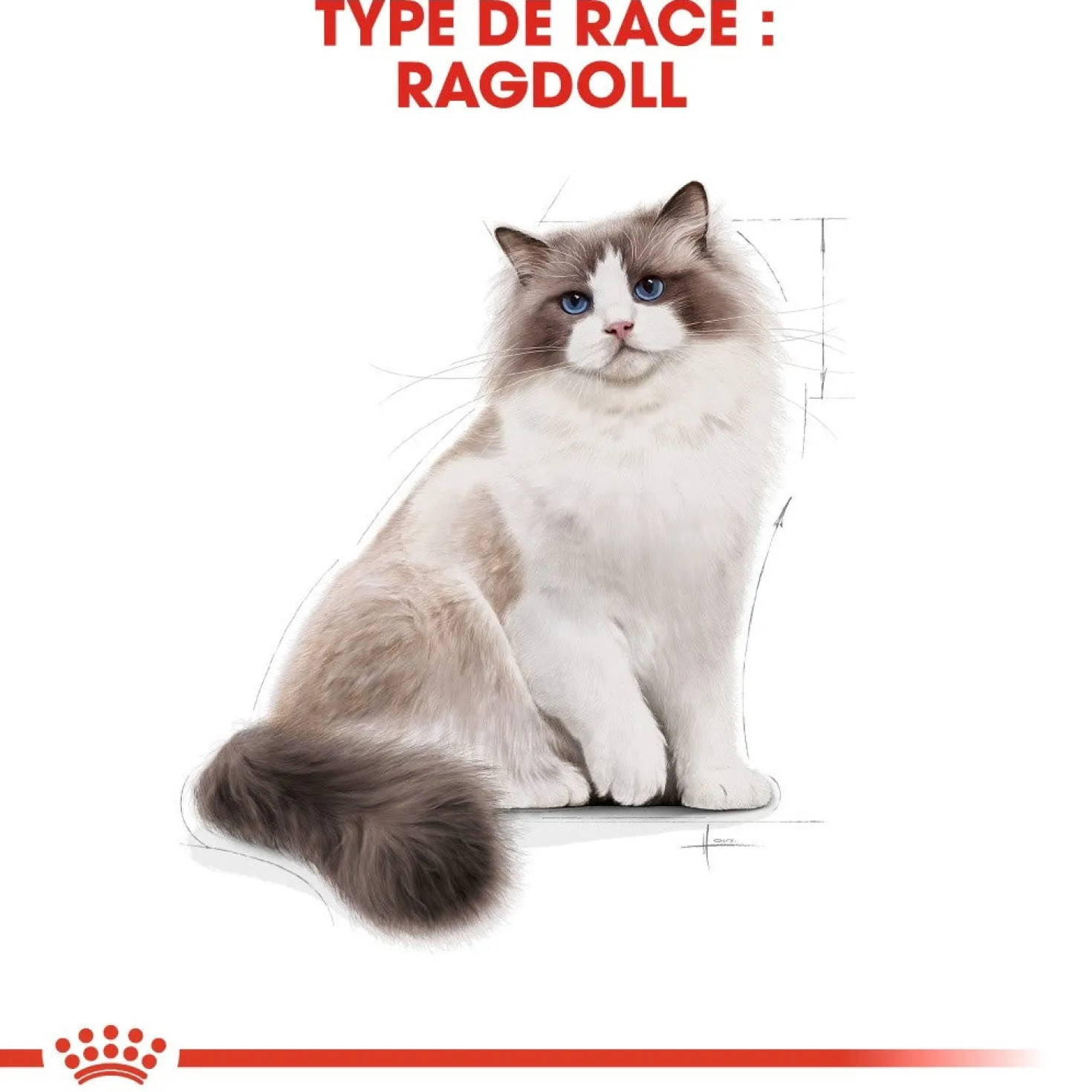 Royal Canin Ragdoll Adult - croquettes chat