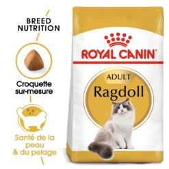 Royal Canin Ragdoll Adult - croquettes chat