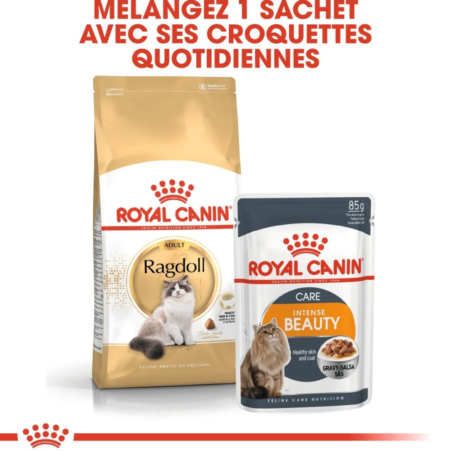 Royal Canin Ragdoll Adult - croquettes chat