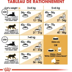 Royal Canin Ragdoll Adult - croquettes chat