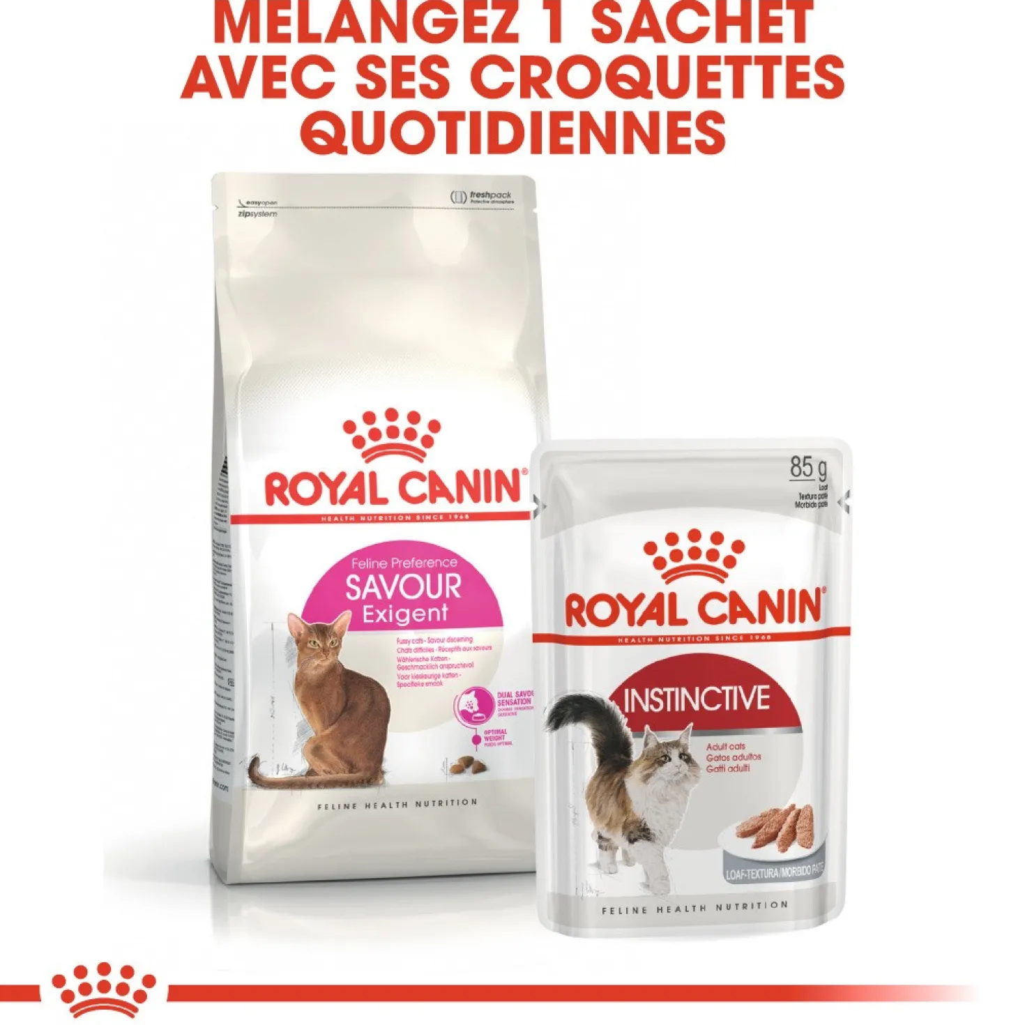 Royal Canin Savour Exigent - croquettes chat