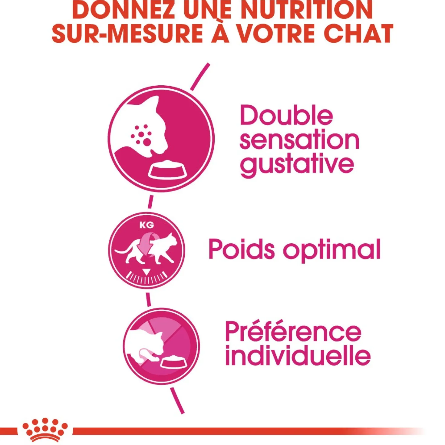 Royal Canin Savour Exigent - croquettes chat