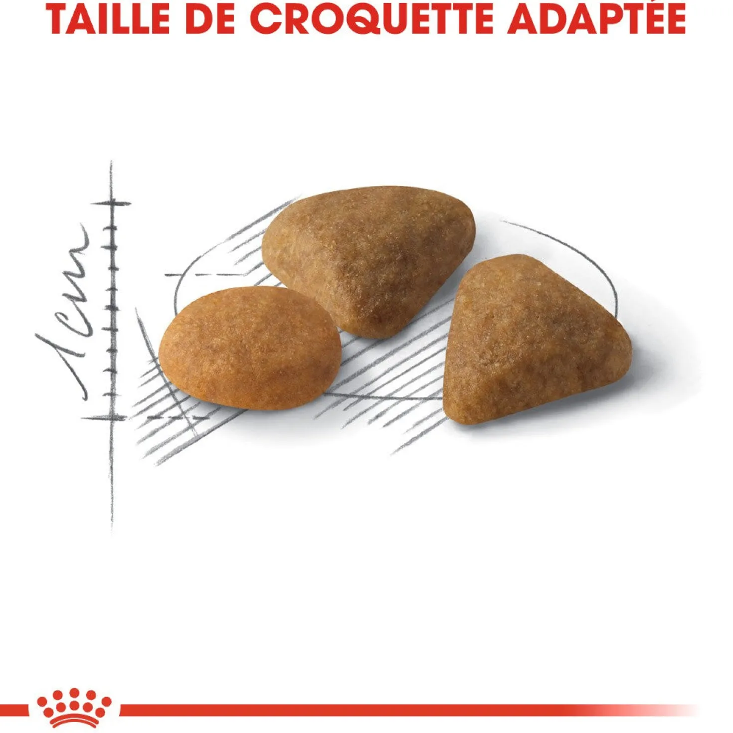 Royal Canin Savour Exigent - croquettes chat