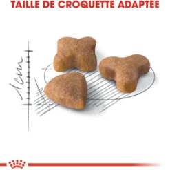 Royal Canin Sensible 33 - croquettes chat