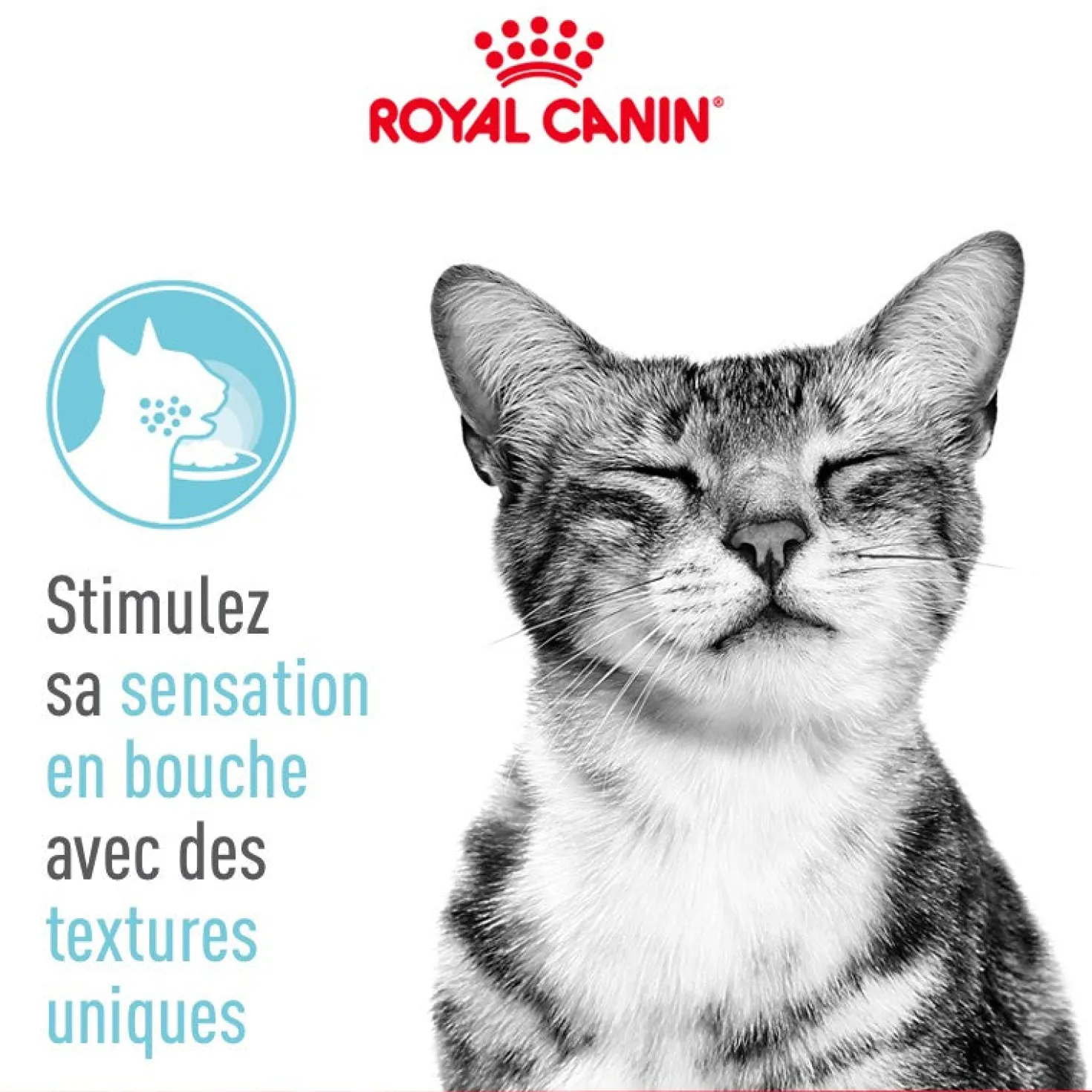 Royal Canin Sensory Feel