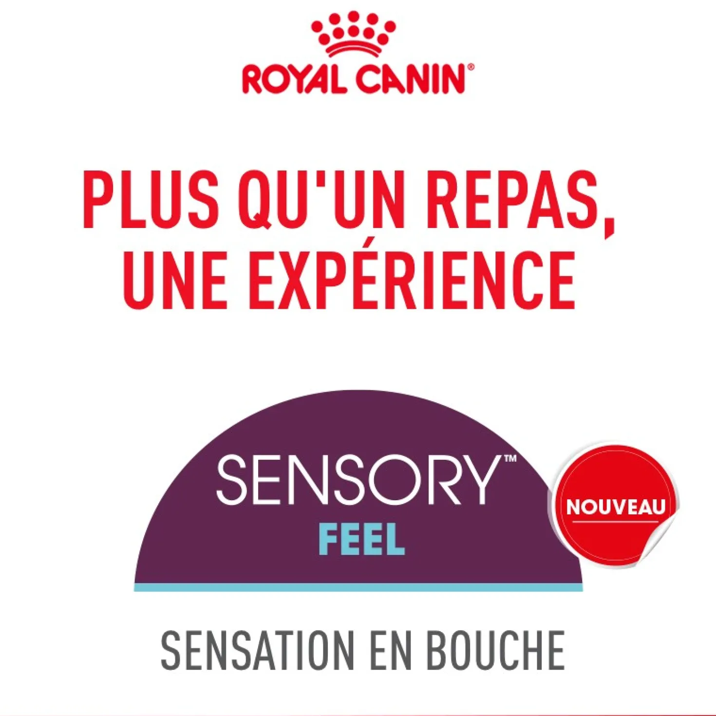 Royal Canin Sensory Feel