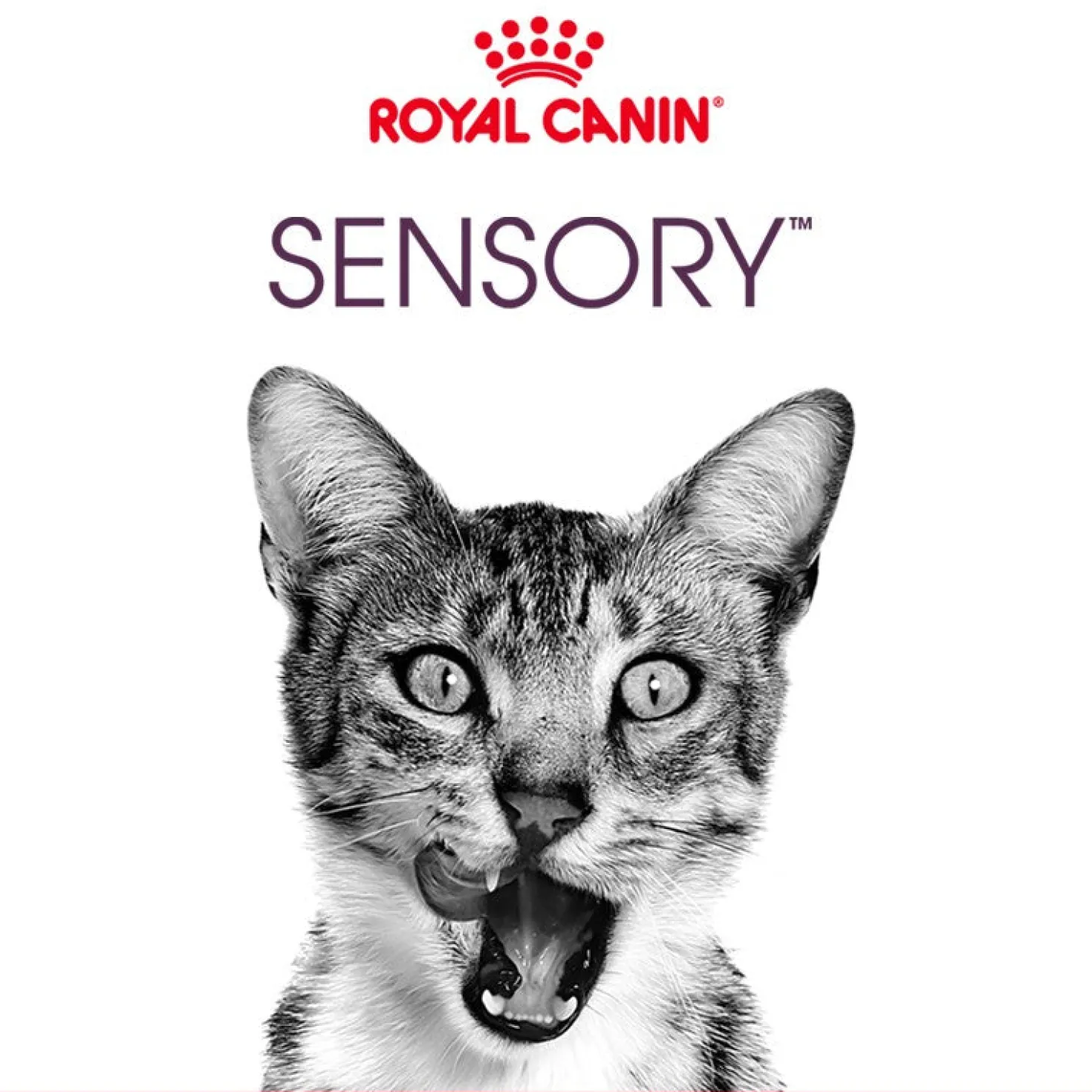 Royal Canin Sensory Feel