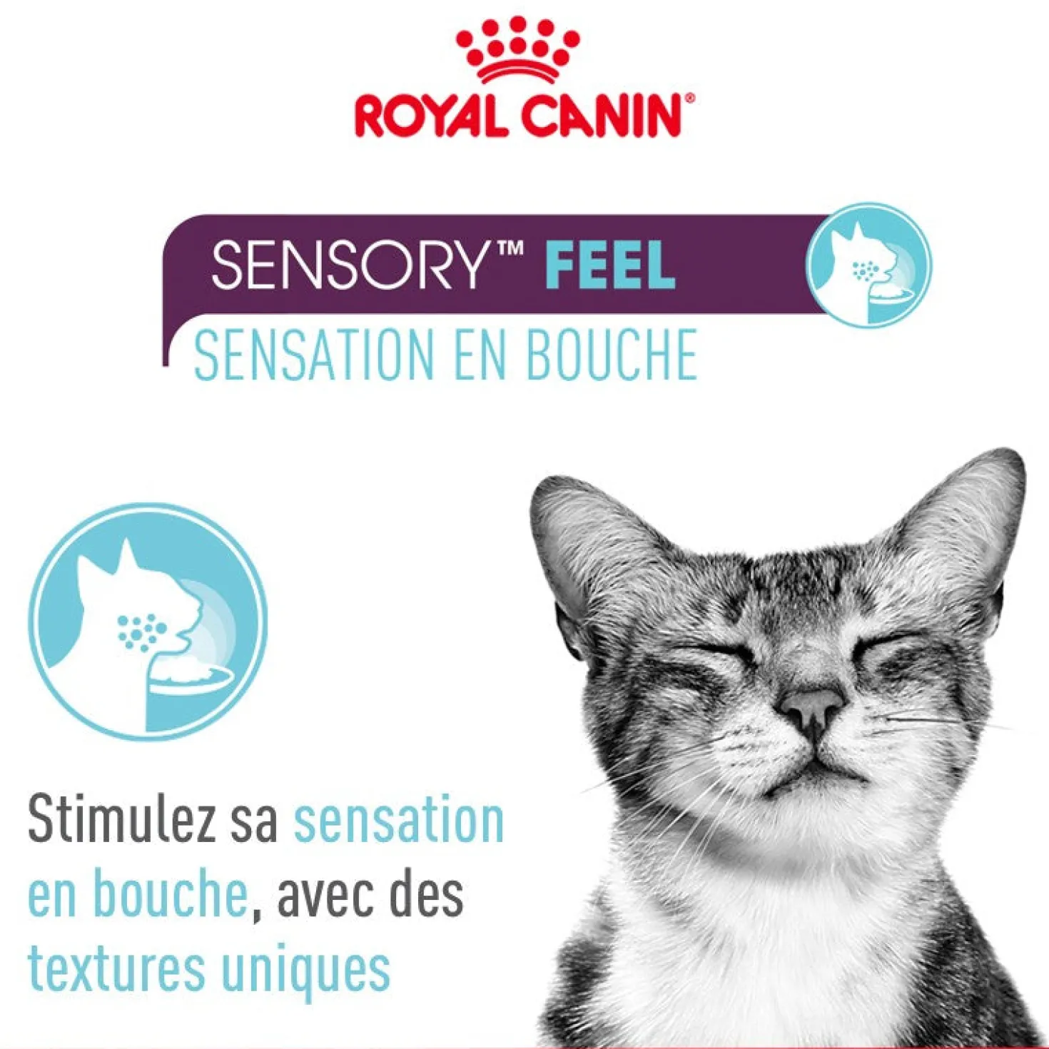 Royal Canin Sensory Multipack - pâtée chat