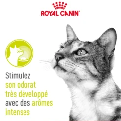 Royal Canin Sensory Smell