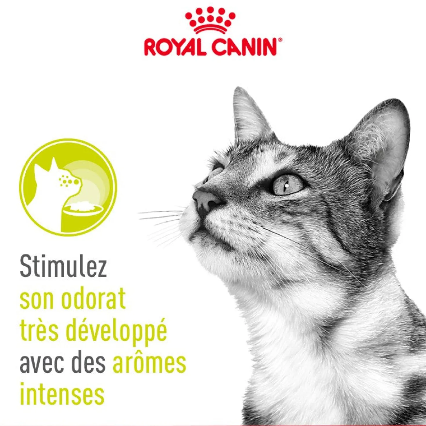 Royal Canin Sensory Smell