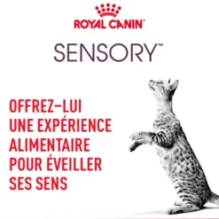 Royal Canin Sensory Smell
