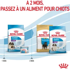 ROYAL CANIN Size Nutrition