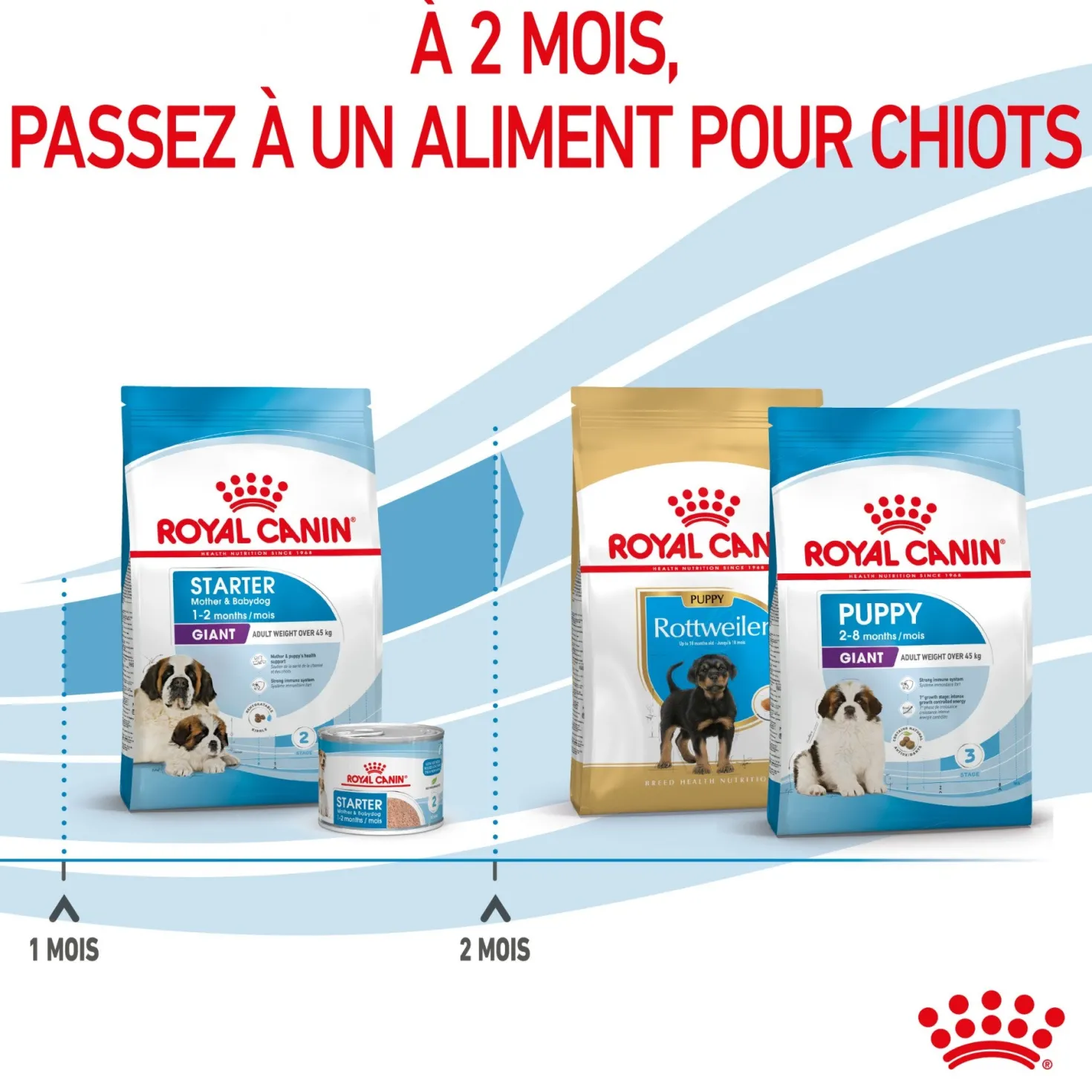 ROYAL CANIN Size Nutrition
