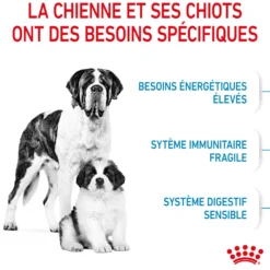 ROYAL CANIN Size Nutrition