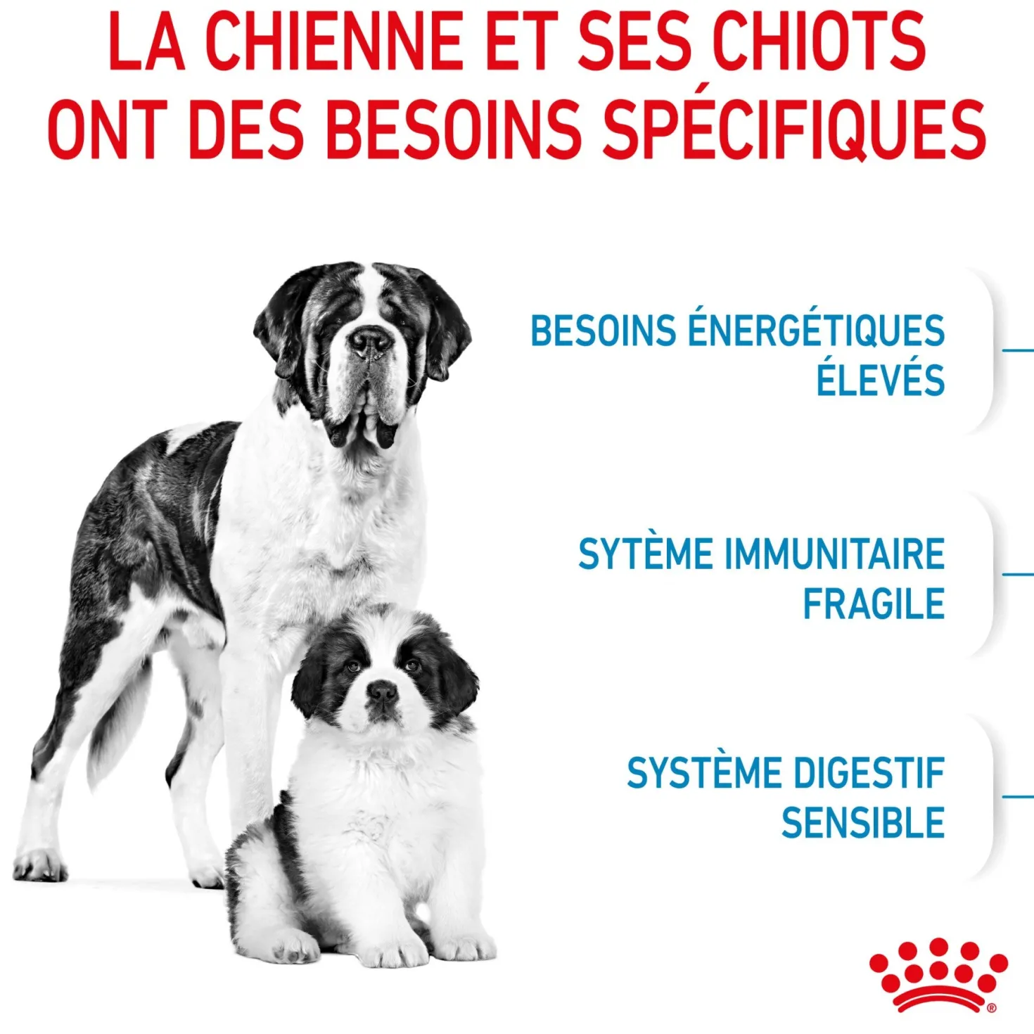 ROYAL CANIN Size Nutrition
