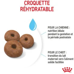 ROYAL CANIN Size Nutrition