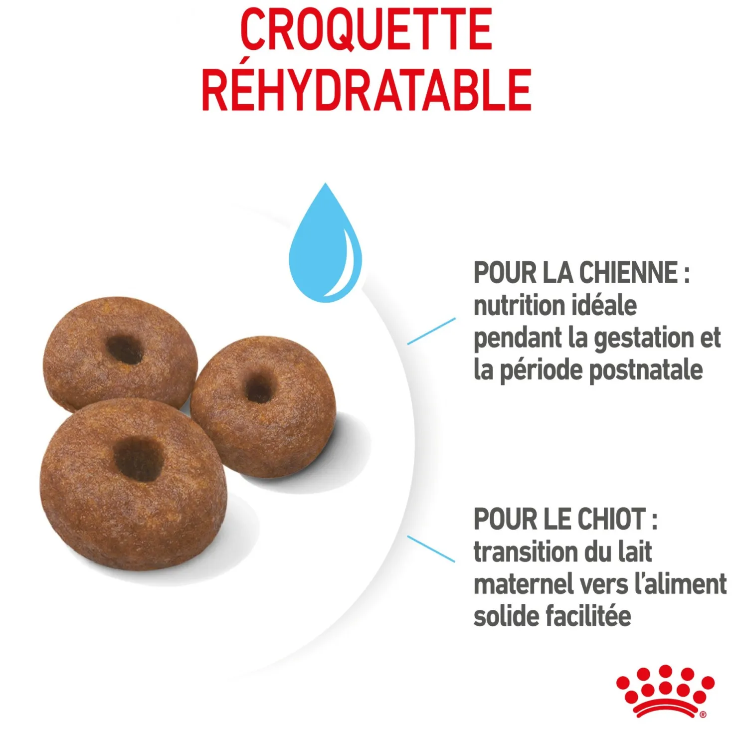 ROYAL CANIN Size Nutrition