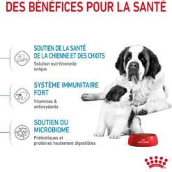 ROYAL CANIN Size Nutrition