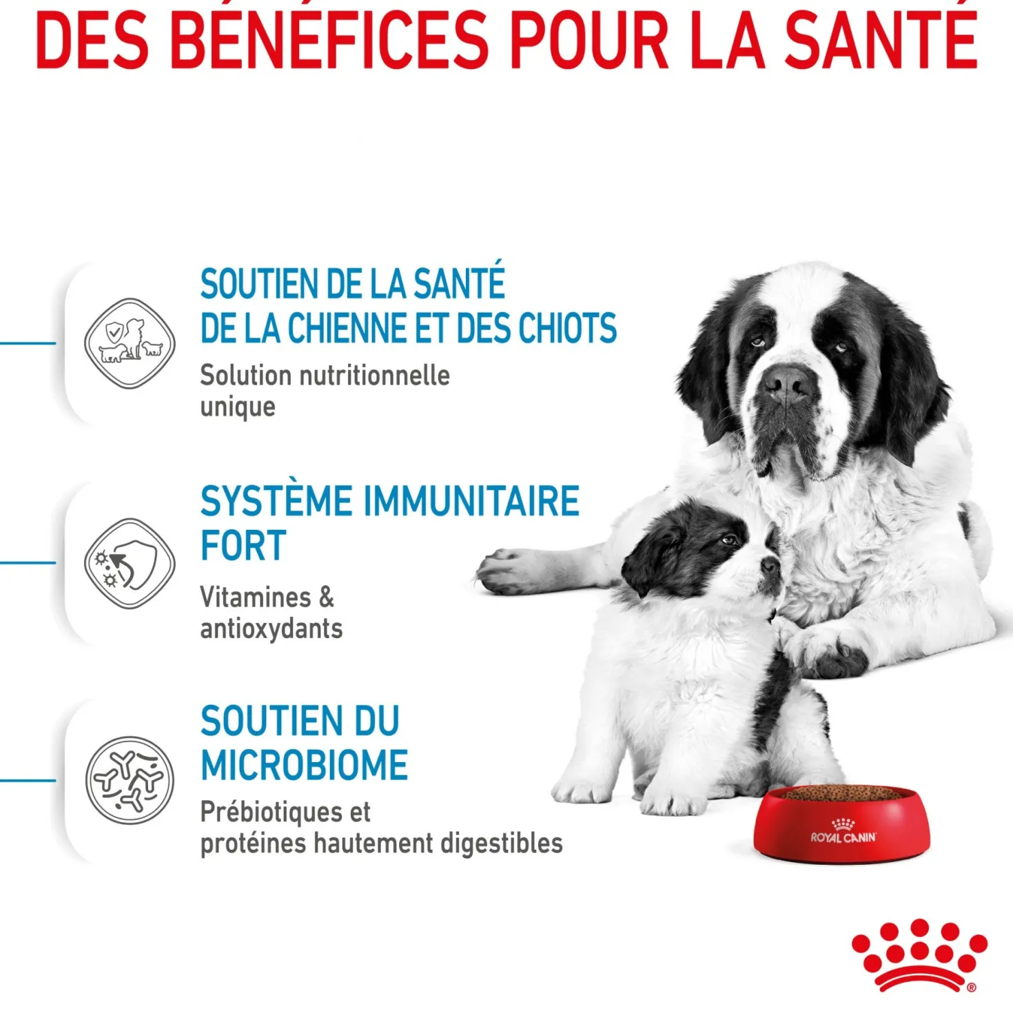 ROYAL CANIN Size Nutrition