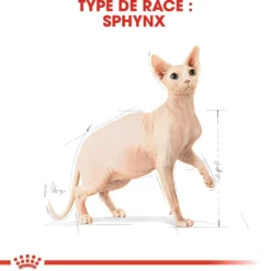 Royal Canin Sphynx Adult - croquettes chat