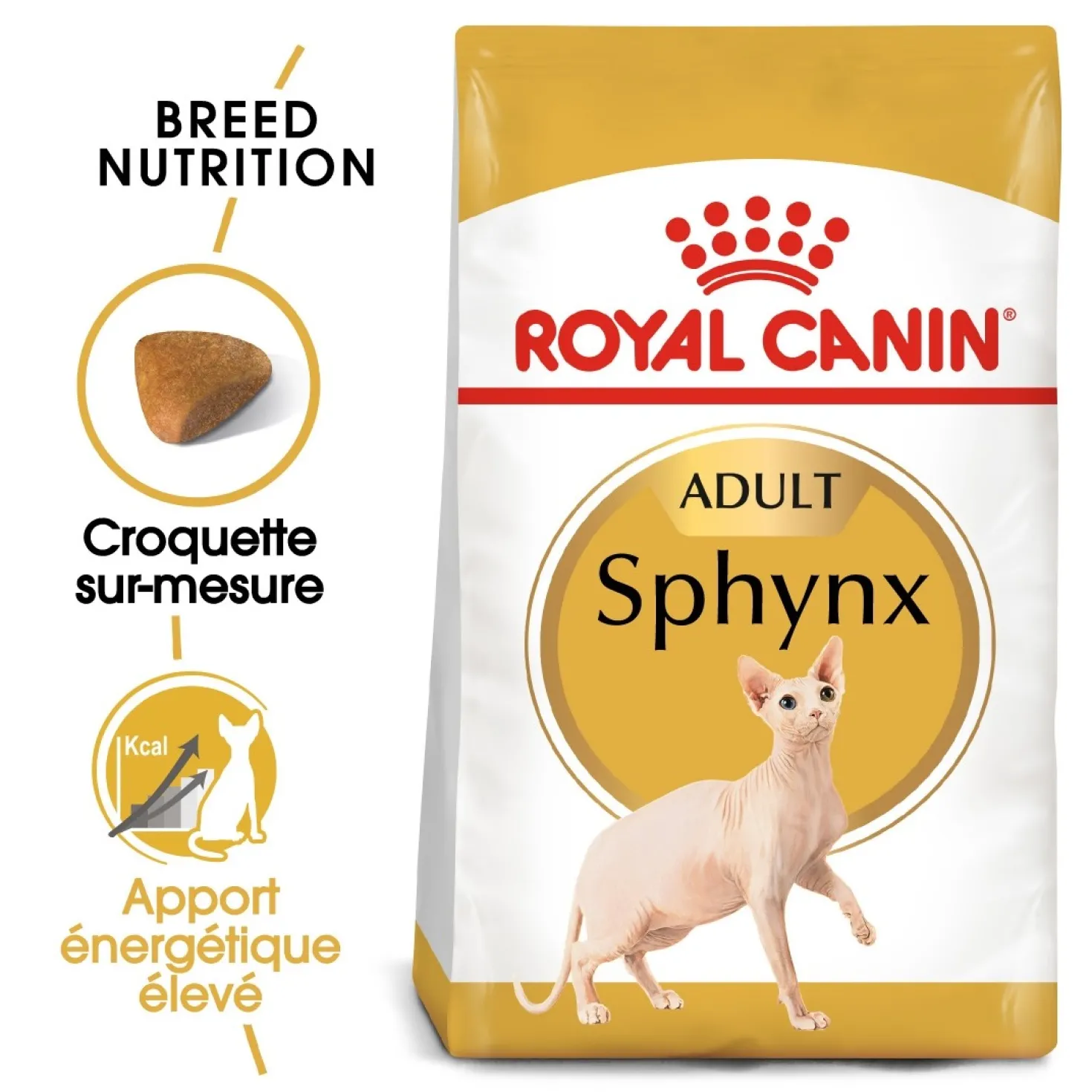 Royal Canin Sphynx Adult - croquettes chat