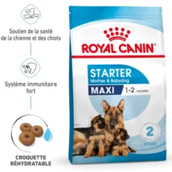 ROYAL CANIN Starter Maxi Mother & Babydog - Croquettes pour chiot