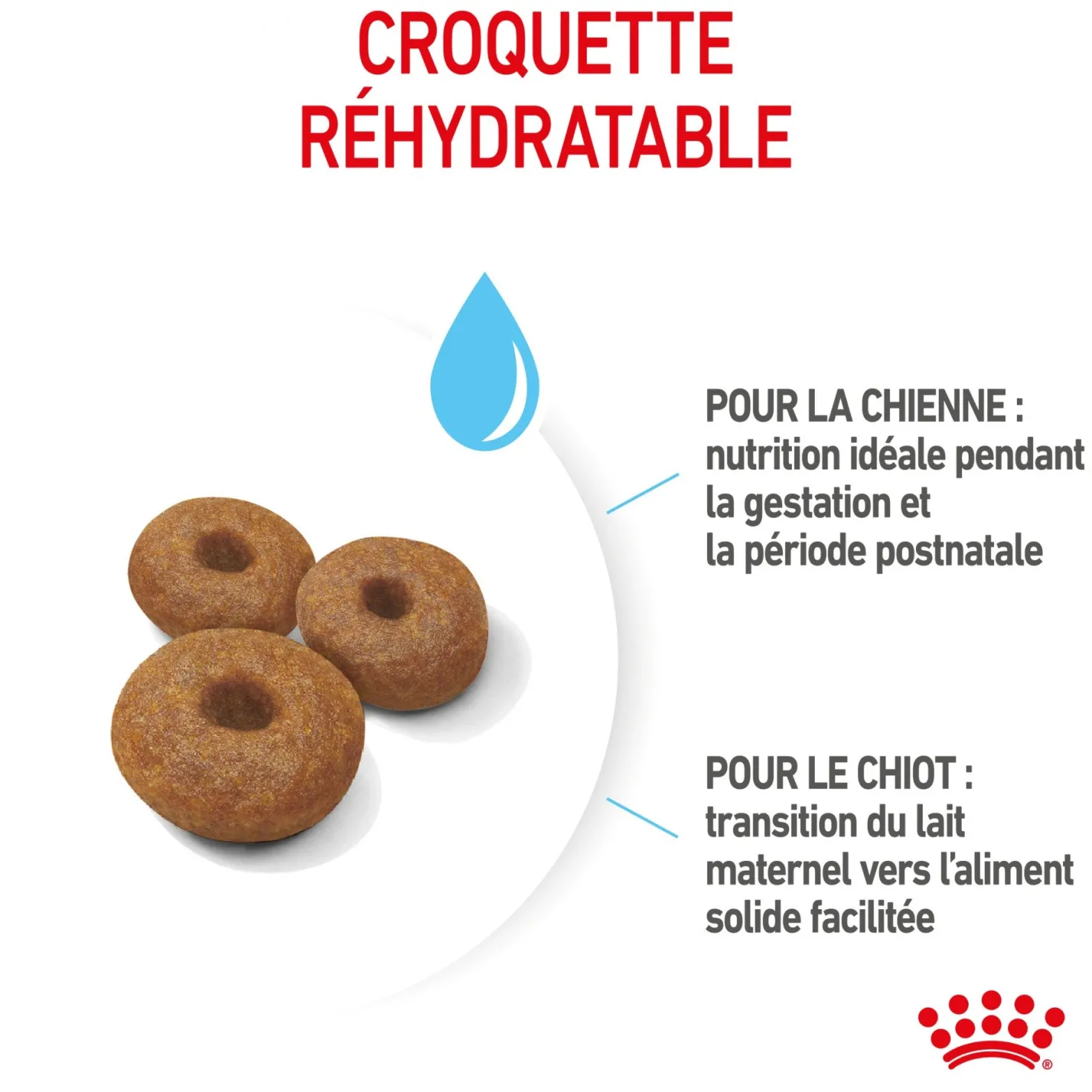 ROYAL CANIN Starter Maxi Mother & Babydog - Croquettes pour chiot