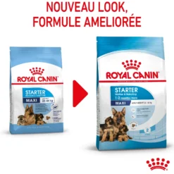 ROYAL CANIN Starter Maxi Mother & Babydog - Croquettes pour chiot