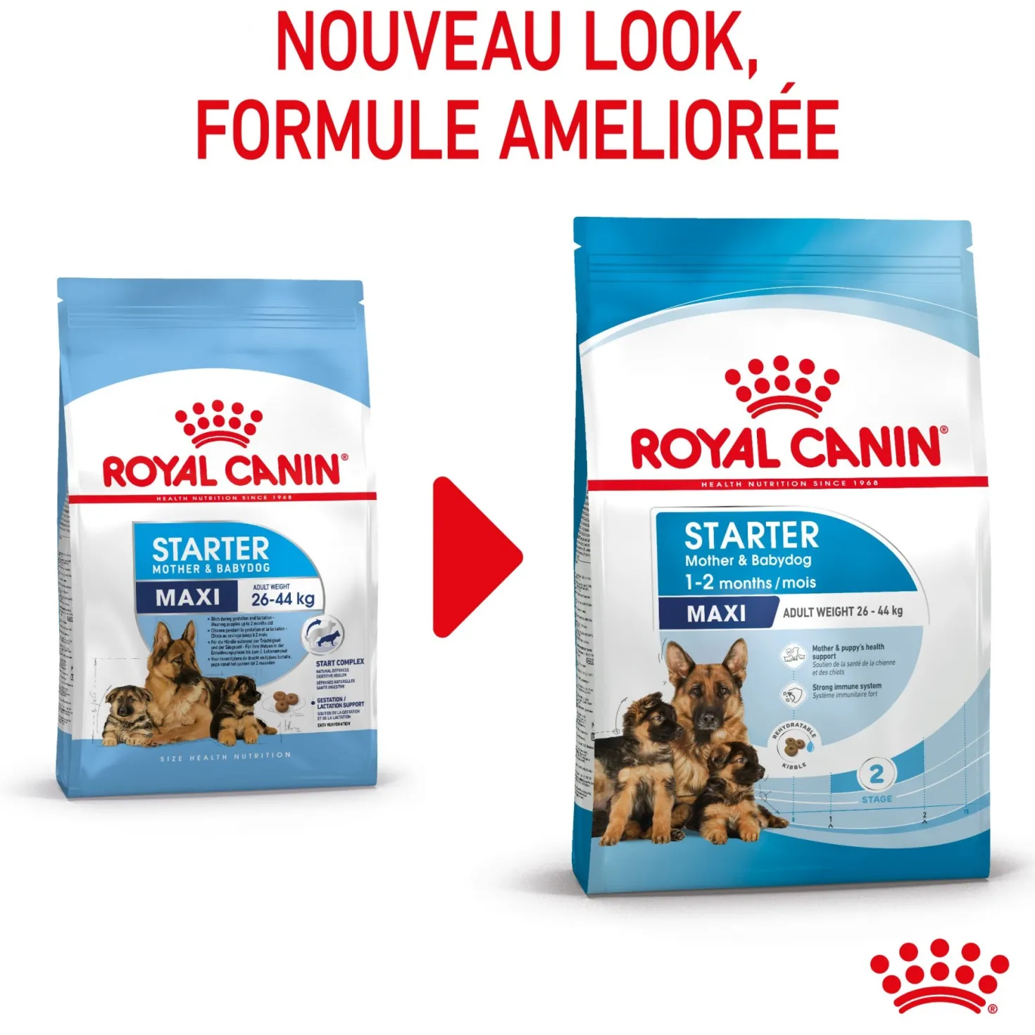 ROYAL CANIN Starter Maxi Mother & Babydog - Croquettes pour chiot
