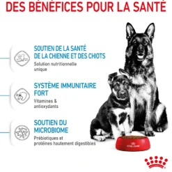 ROYAL CANIN Starter Maxi Mother & Babydog - Croquettes pour chiot