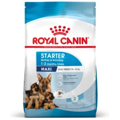 ROYAL CANIN Starter Maxi Mother & Babydog - Croquettes pour chiot