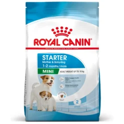 ROYAL CANIN Starter Mini Mother & Babydog - Croquettes pour chiot