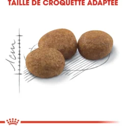 Royal Canin Sterilised 37 - croquettes chat